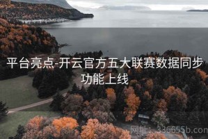 平台亮点-开云官方五大联赛数据同步功能上线