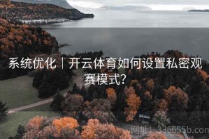 系统优化｜开云体育如何设置私密观赛模式？