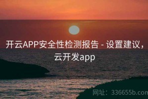 开云APP安全性检测报告 - 设置建议，云开发app